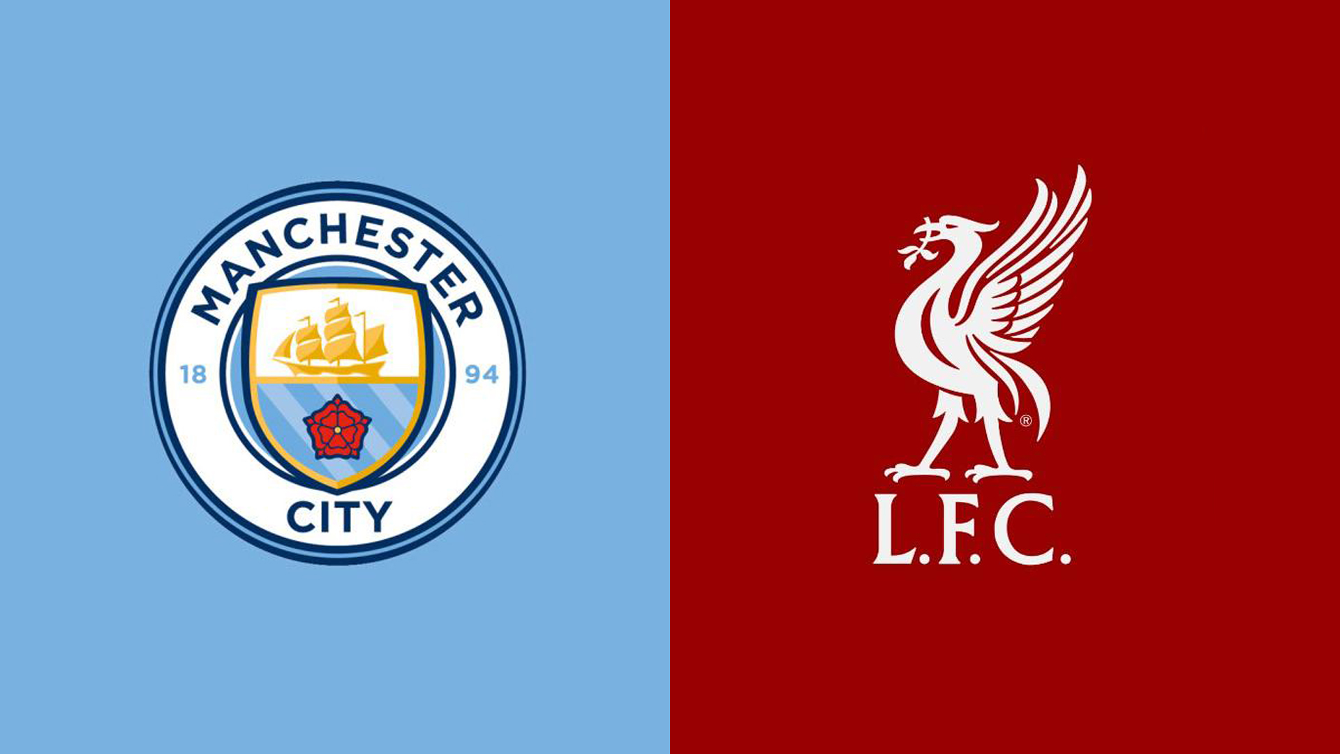 新加坡羽毛 新加坡羽毛