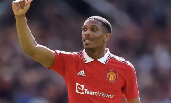 种新的可能 种新的可能